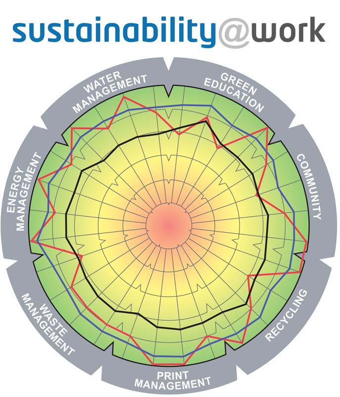 This diagnostic assesses the organization